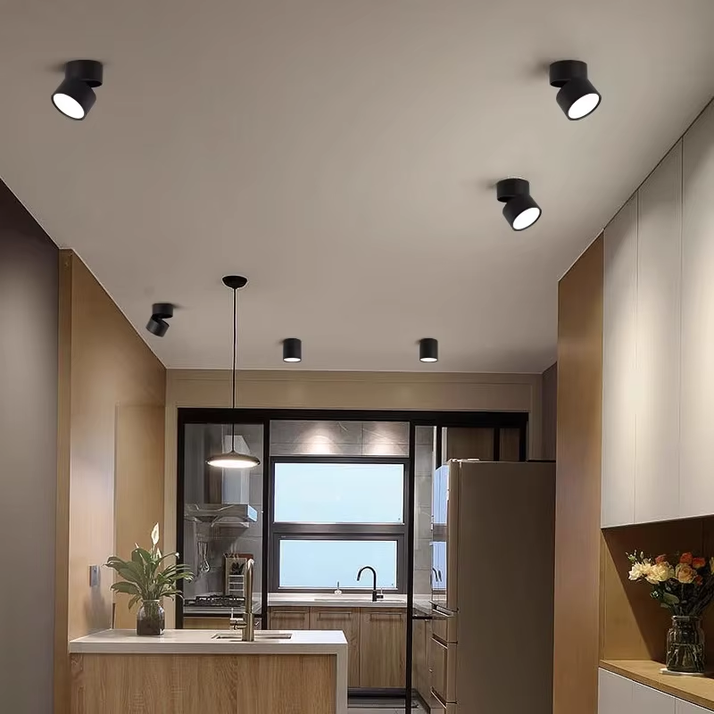 LED Ceiling Spotlight – Adjustable Swivel, Surface Mount, No Cut, Soft Wide Beam | Black & White